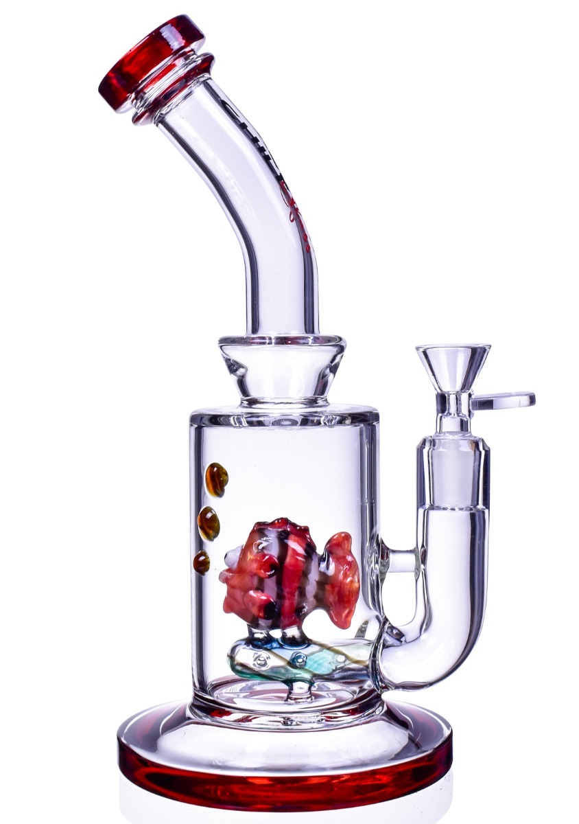 Why Fish Perc Bubblers Are the Latest Trend Amongst Connoisseurs